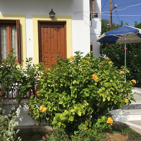 Livanina Apartments Kampos Marathokampou Bagian luar foto