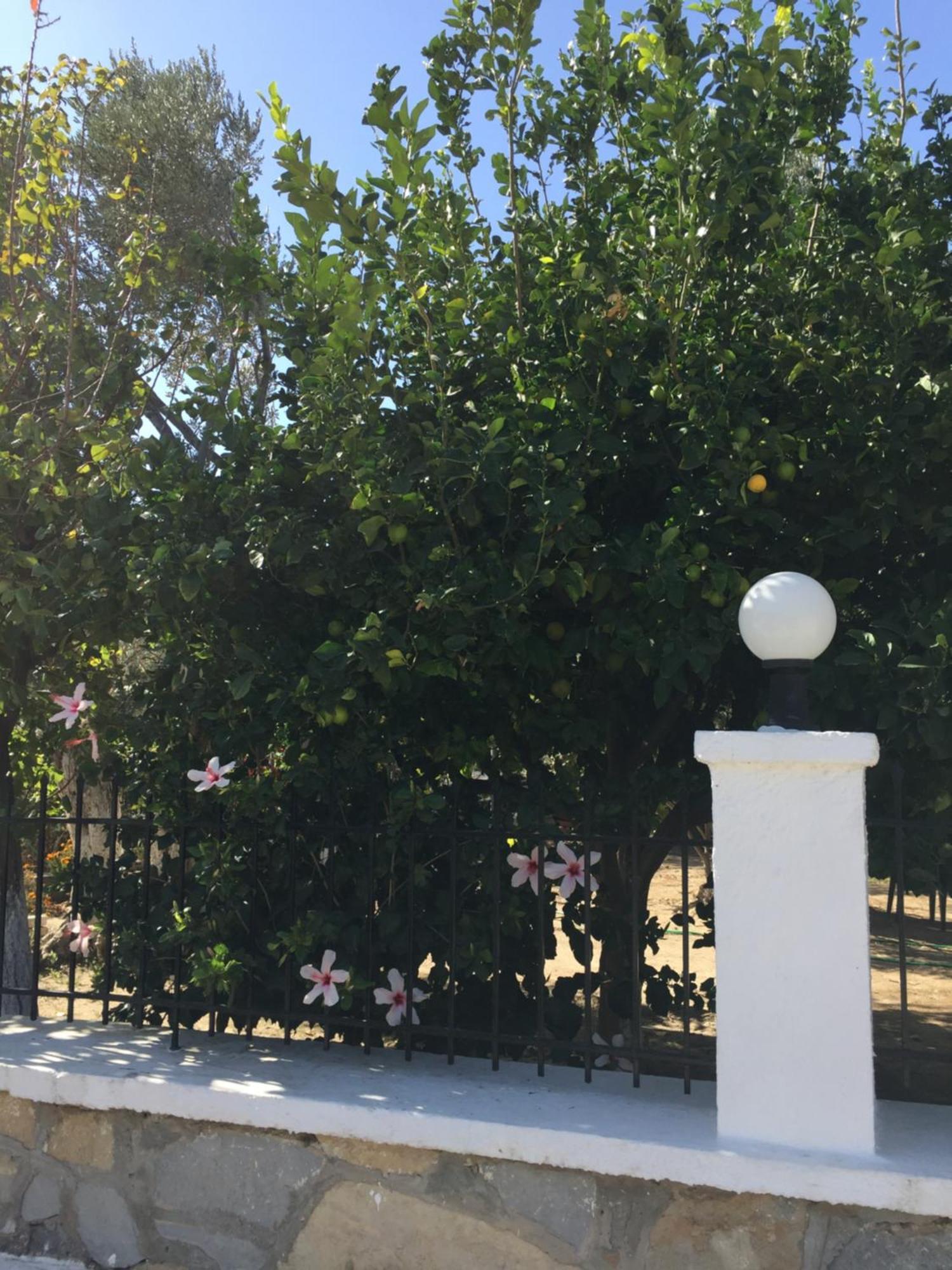 Livanina Apartments Kampos Marathokampou Bagian luar foto