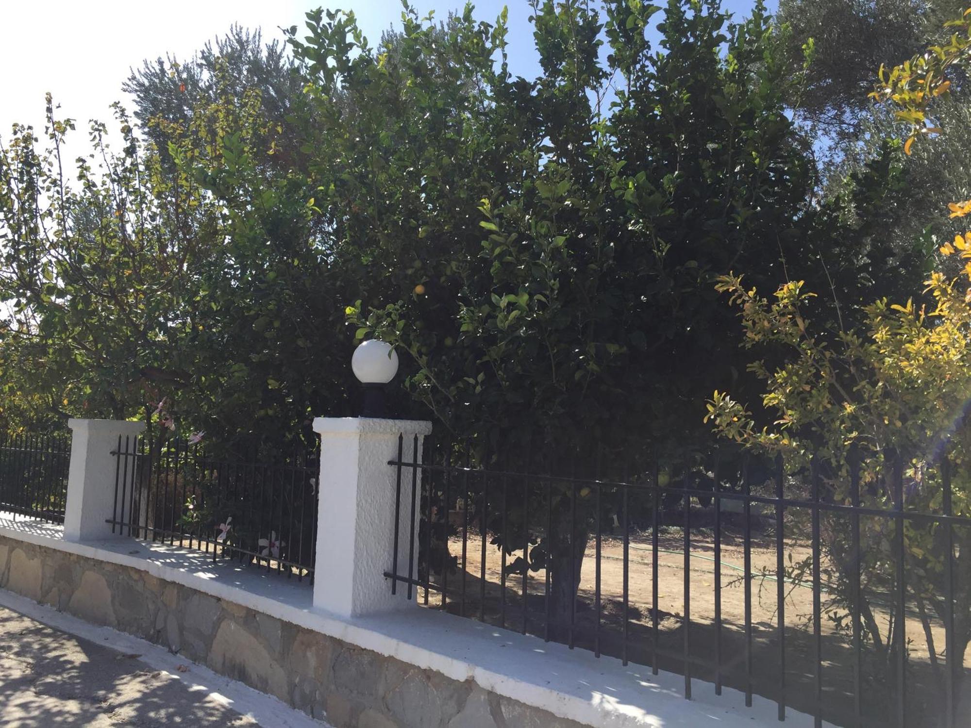 Livanina Apartments Kampos Marathokampou Bagian luar foto