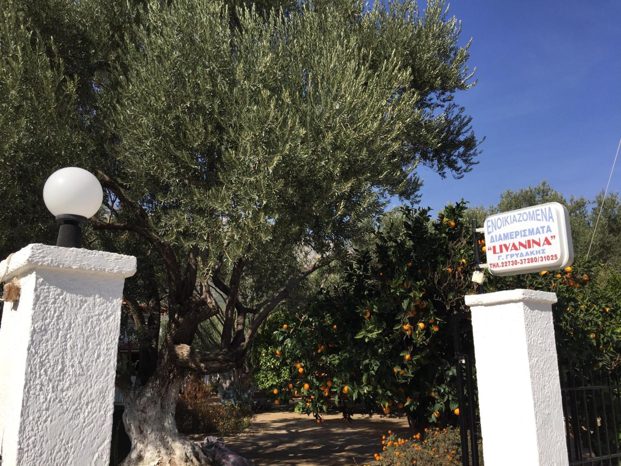 Livanina Apartments Kampos Marathokampou Bagian luar foto